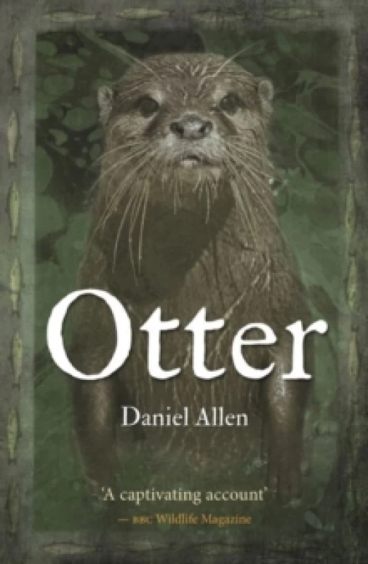 Image of Otter Paperback / softback