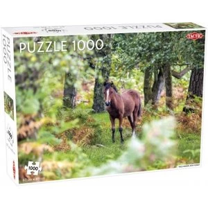Image of Wild Horses New Forest 1000 Piece Jigsaw Puzzle