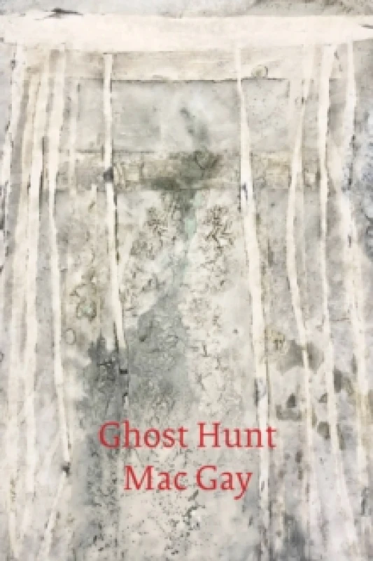 Image of Ghost Hunt Paperback / softback