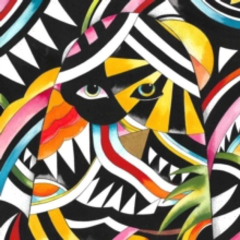 Image of The Age of Oddities Vinyl