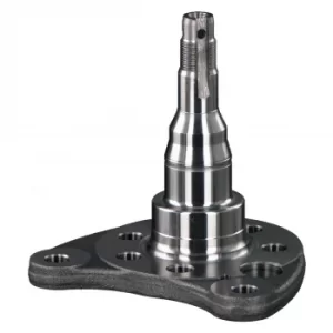 Image of Stub Axle Kingpin 18350 by Febi Bilstein Rear Axle Left LH