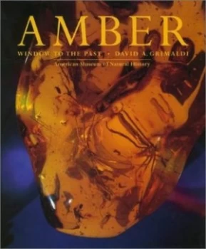 Image of Amber by David a Grimaldi Paperback