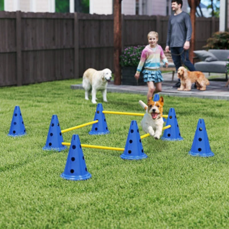 Image of PawHut Dog Agility Equipment Set, Four Piece Adjustable Height Jumping, Blue D07-059V02BU