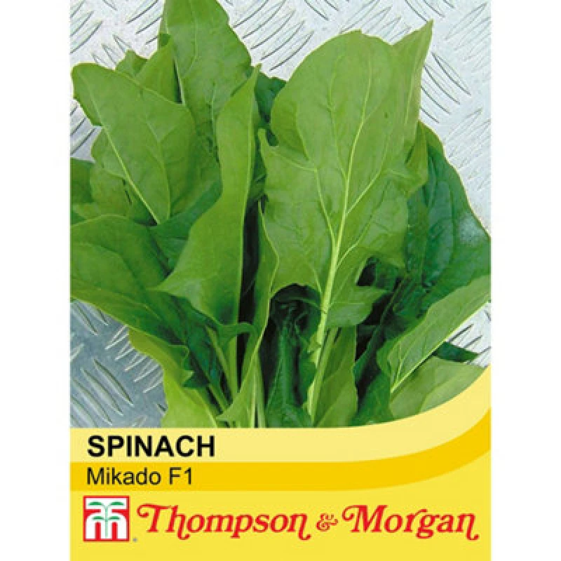 Image of Thompson & Morgan Spinach Mikado F1 Hybrid 1 Seed Packet
