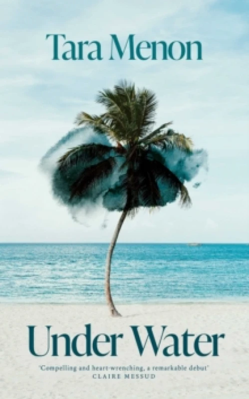 Image of Under Water : 'Stunning' Sunday Times Hardback