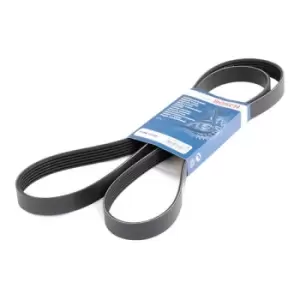 Image of Bosch V-ribbed belt FORD,FIAT,CHEVROLET 1 987 946 295 96628778,04891661AA,4891661AA 04891661AA,4891661AA,K04627095AA,1014374,1079384,1133960,6727879