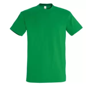 Image of SOLS Mens Imperial Heavyweight Short Sleeve T-Shirt (XL) (Kelly Green)
