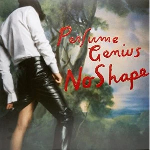 Image of Perfume Genius - No Shape Vinyl