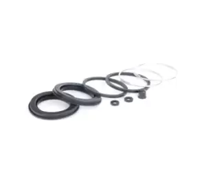 Image of AUTOFREN SEINSA Brake Caliper Repair Kit AUDI,BMW,OPEL D4063 10514220520316,13044148192,60711956 34111103269,34112660197,34311121203,113E2B107,1487676