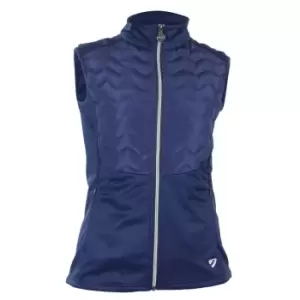 Image of Aubrion Womens/Ladies Vale Light Gilet (S) (Dark Navy)