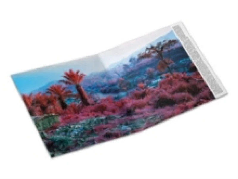 Image of Archeology Vinyl