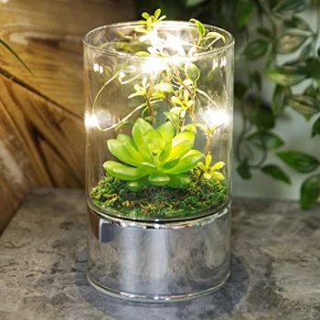 Image of Glass Tube Terrarium - Artificial Succulents and LEDs 15cm