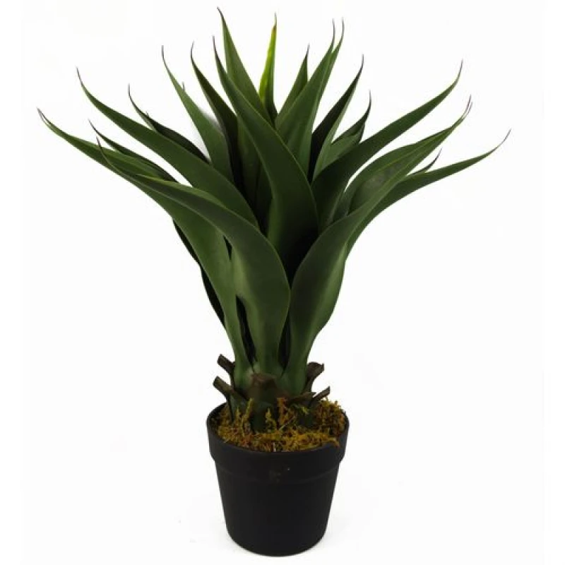 Image of Leaf 55cm Artificial Tropical Yucca Plant Green
