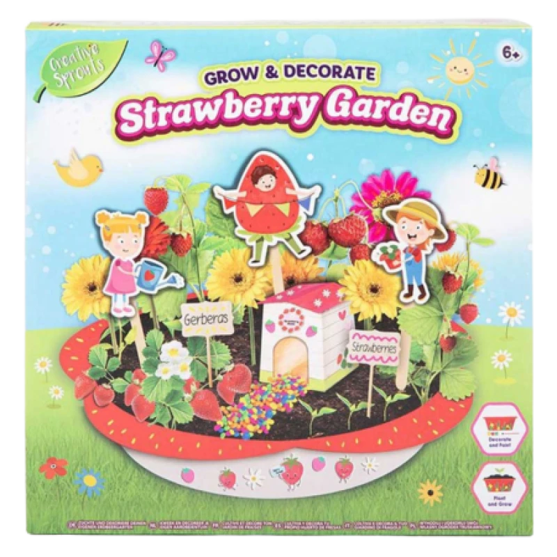 Image of Creative Sprouts Grow & Decorate Strawberry Garden Kit CREATIVE-R03-1400