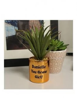 Image of Personalised Aleo Vera Plant Pot
