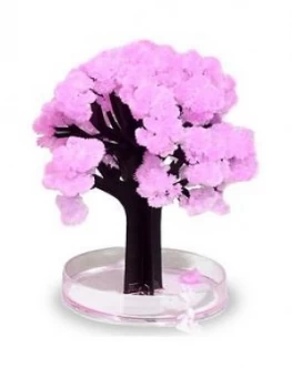 Image of Magic Sakura