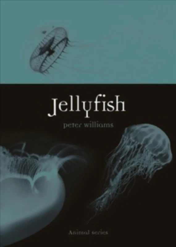 Image of Jellyfish Paperback / softback