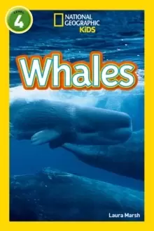 Image of Whales : Level 4
