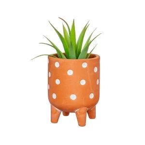 Image of Sass & Belle Small Polka Dot Terracota Leggy Planter