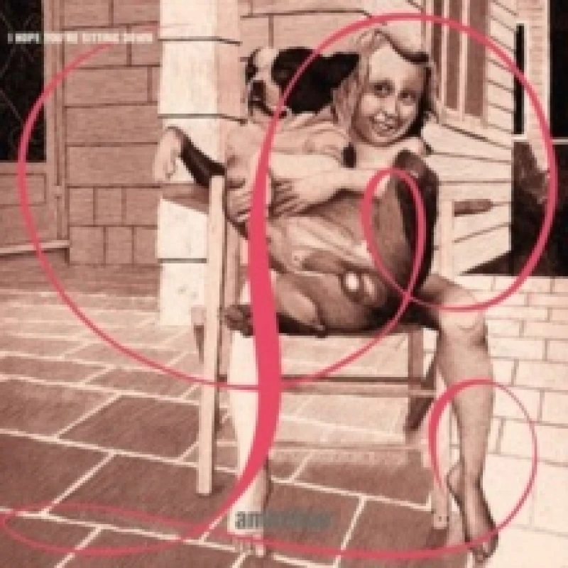 Image of I Hope You Are Sitting Down Vinyl