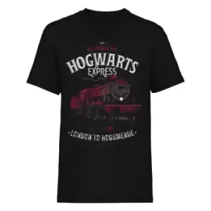 Image of Harry Potter Unisex Adult All Aboard T-Shirt (L) (Black)
