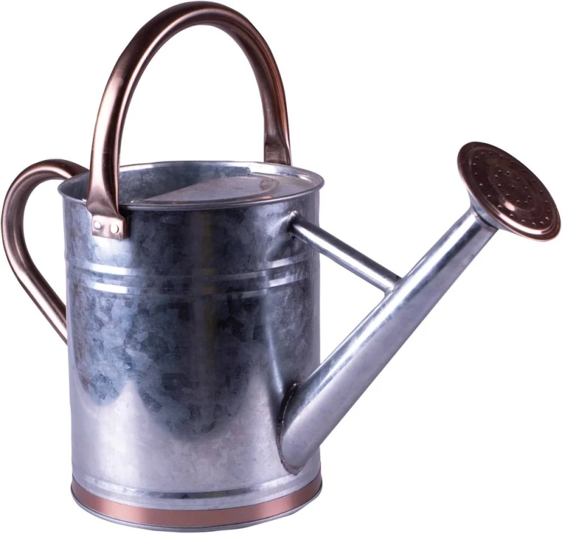 Image of St Helens Metal Watering Can with Sprinkler Nozzle & 4 Litre Capacity Multicolor Unisex