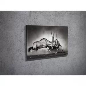 Image of DC023 Multicolor Decorative Canvas Painting