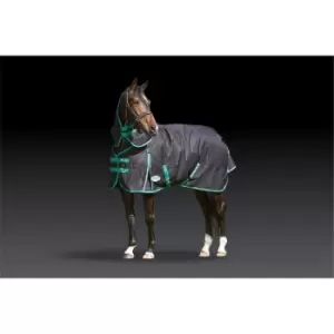Image of Weatherbeeta Green-Tec 9D Medium Turnout - Green