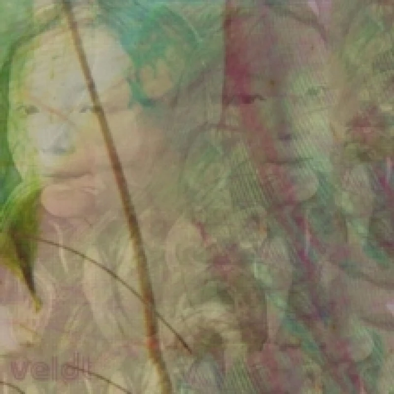 Image of Symmetry Slowdown Vinyl