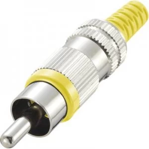 Image of RCA connector Plug straight Number of pins 2 Yellow Conrad Components