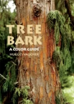 Image of tree bark a color guide