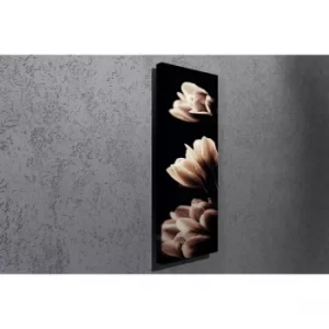 Image of PC006 Multicolor Decorative Canvas Painting