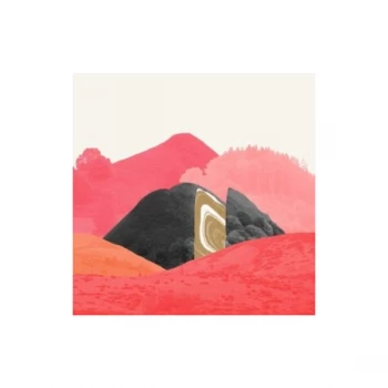 Image of Islet - Eyelet Pink Vinyl