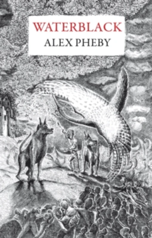Image of Waterblack Hardback