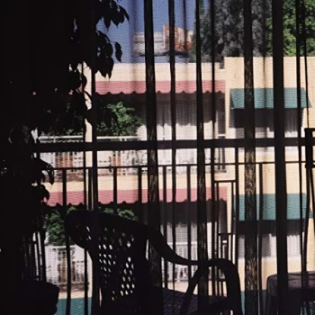 Image of Section 25 - Dark Light CD