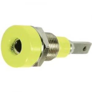 Image of Jack socket Socket vertical vertical Pin diameter 2mm Green yellow