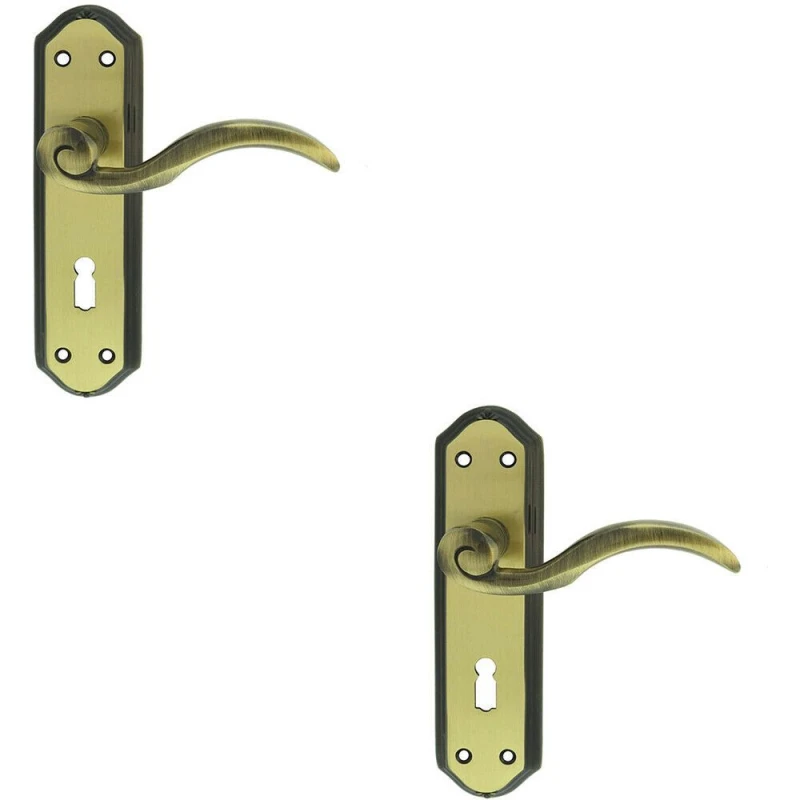 Image of Loops 2x PAIR Spiral Sculpted Handle on Lock Backplate 180 x 48mm Florentine Bronze Multi