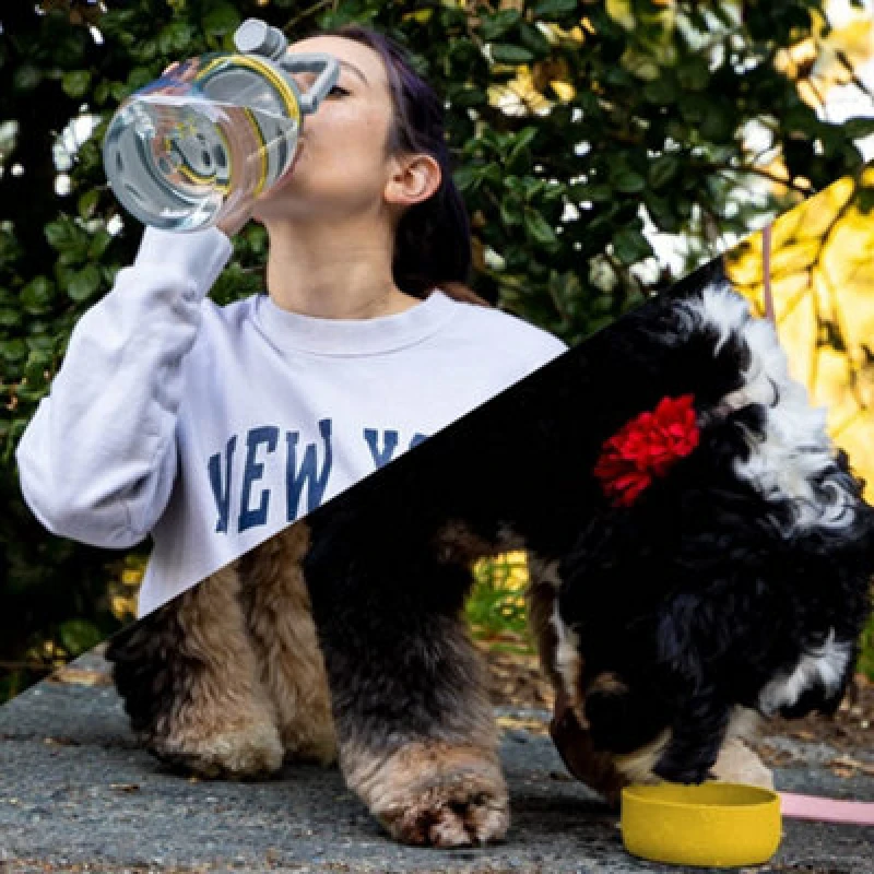 Image of asobu Tritan Water Bottle with Dog Bowl Mustard 1.5 Litre Yellow