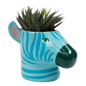 Image of Zebra Plant Pot