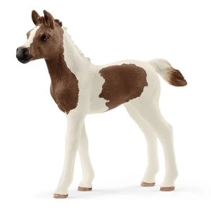 Image of Schleich Horse Club - Pintabian Foal Figure