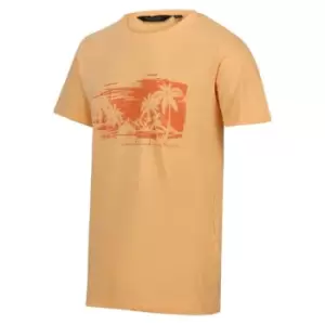 Image of Regatta Cline VII Short Sleeve Tshirt - Pale Orange