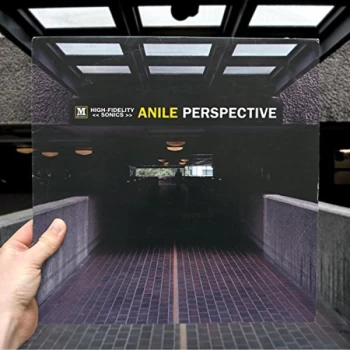 Image of Anile - Perspective Vinyl