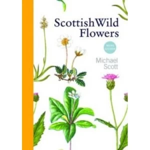 Image of Scottish Wild Flowers by Michael Scott (Paperback, 2012)