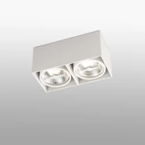 Image of Tecto 2 Light Square Surface Mounted Downlight White