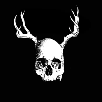 Image of Secret Fun Club - Skull With Antlers Vinyl