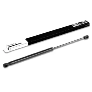 Image of RIDEX Tailgate strut 219G0096 Gas spring, boot- / cargo area,Boot struts MERCEDES-BENZ,C-Klasse T-modell (S202)