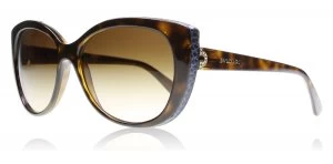 Image of Bvlgari BV8157BQ Sunglasses Tortoise 97713 57mm