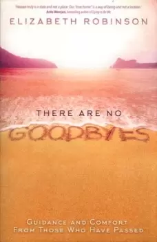 Image of There are no goodbyes by Elizabeth Robinson