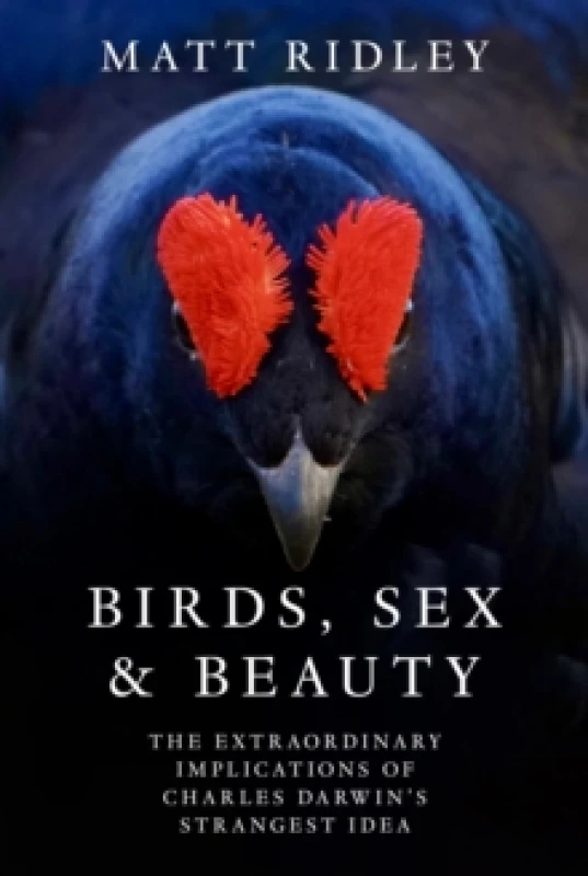 Image of Birds, Sex and Beauty : The Extraordinary Implications of Charles Darwins Strangest Idea Hardback