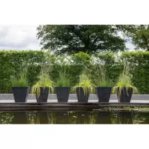 Image of Ivyline Stone Ella Pot 29cm - Black